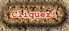 bouton javascript